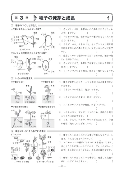 見本pdf 夏期テキスト 塾用教材 教育開発出版株式会社 Summer R5 Mihon