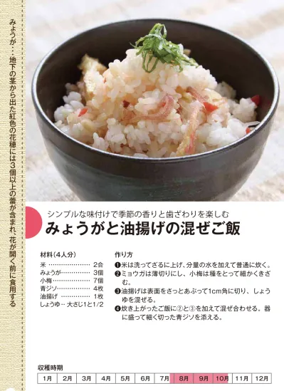 みょうがと油揚げの混ぜご飯 上越野菜 旬レシピ集を発行 上越市ホームページ