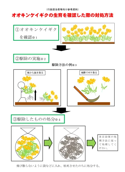 トップpdf 本省 地方環境事務所が一体となり 123deta Jp