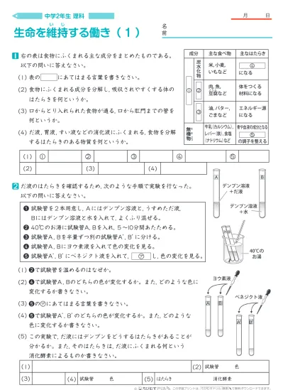 中学１年生 理科 地震の伝わり方と地球内部の働き 練習問題プリント 無料ダウンロード 印刷 このページの問題プリント 全部