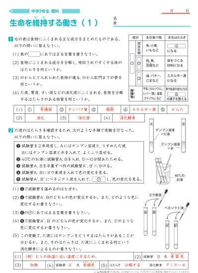 小学5年生 理科 の無料学習プリント流れる水のはたらき