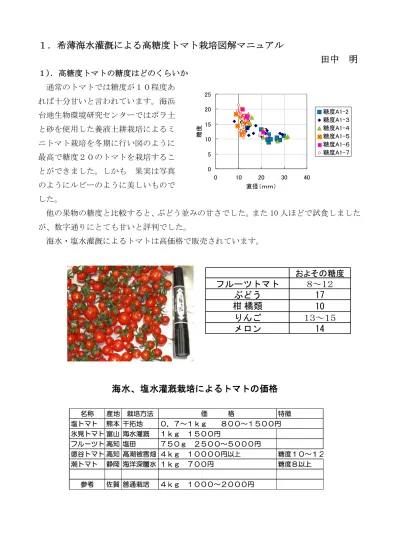 1 希薄海水灌漑による高糖度トマト栽培図解マニュアル 1 高糖度トマトの糖度はどのくらいか 通常のトマトでは糖度が 10 程度あ れば十分甘いと言われています 海浜 台地生物環境研究センターではボラ土 と砂を使用した養液土耕栽培によるミ ニトマト栽培を冬期に行い図