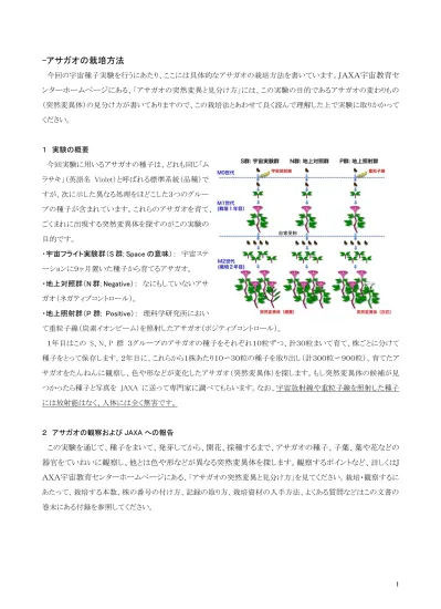 や水産生物の栽培を含むかたちで生物育成領域が新設され C 生物育成に関する技術 が必修化さ れた これは社会の基礎として存在する生物育成の技術について すべての生徒が体験し その重要 性を理解する必要性があるからである しかし 中学校技術 家庭科 技術分野