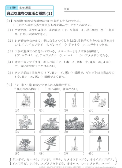 中学１年生 理科 植物の分類 練習問題プリント 無料ダウンロード 印刷 このページの答えのプリント 全部