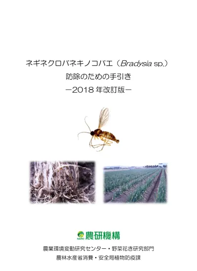 ネギネクロバネキノコバエ Bradysia Sp 防除のための手引き 年改訂版 農業環境変動研究センター 野菜花き研究部門 農林水産省消費 安全局植物防疫課