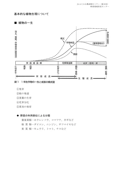 Ja ふじかわ農産物セミナー 第 8 回 峡南地域普及センター 基本的な植物生理について 植物の一生 1 発芽 2 根の発達 3 茎葉の生育 4 花芽分化 5 果実の発育 野菜の利用部位による分類葉茎菜類 ホウレンソウ コマツナ ネギなど根菜類 ダイコン ニンジン サツマイモなど