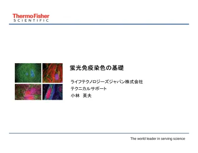 トップpdf 生体染色 ヨード染色 トルイジンブルー染色 123deta Jp