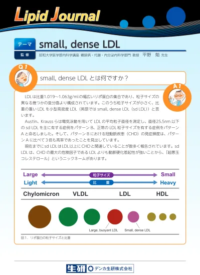 コレステロールは体内で細胞膜や胆汁酸 消化液 副腎皮質ホルモンや性ホルモン 男性ホルモン 女性ホルモンなど ビタミンdの原料となります 人体を維持するのに無くてはならない構成成分です コレステロールには悪玉の Ldl コレステロール Ldl と善玉の Hdl