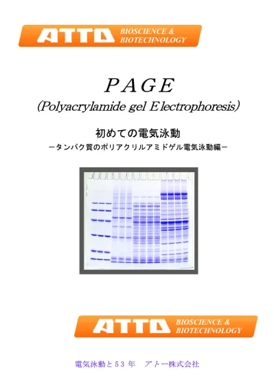 トップpdf 電気泳動製品で必ずもらえるプレゼントキャンペーン 123deta Jp