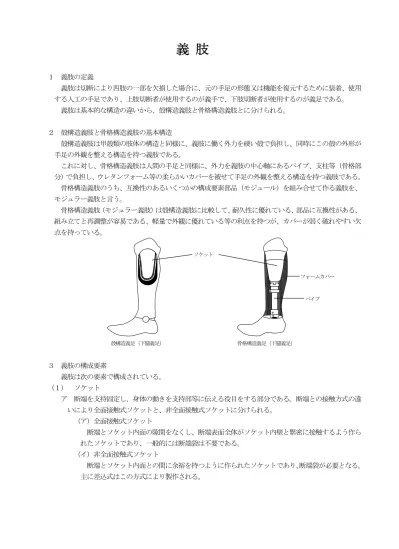 Microsoft Word 29 義肢 H24gisi