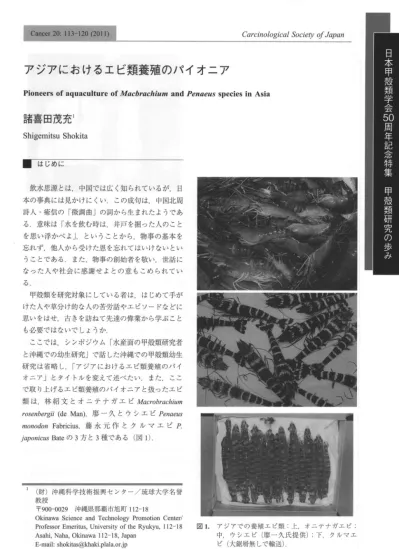 アジアにおけるエビ類養殖のパイオニア 甲殻類研究の歩み 日本甲殻類学会50周年記念