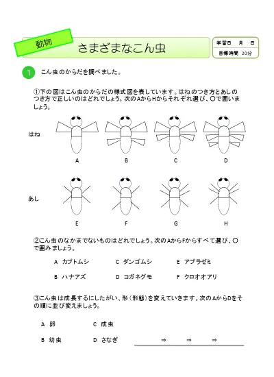 小学3年生 理科 の無料学習プリント昆虫と植物