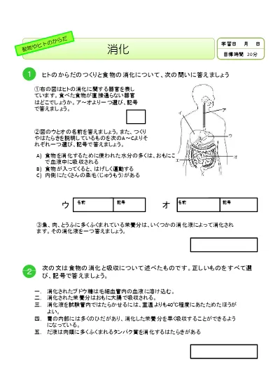 小学5年生 理科 の無料学習プリント魚のたんじょう