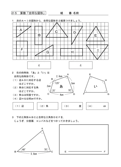 小学校算数単元計画 第５学年 合同な図形